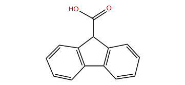 9H-Fluorene-9-carboxylic acid